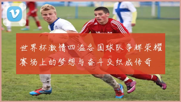 世界杯激情四溢各国球队争辉荣耀赛场上的梦想与奋斗交织成传奇