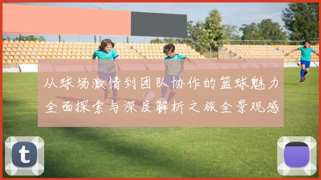 从球场激情到团队协作的篮球魅力全面探索与深度解析之旅全景观感