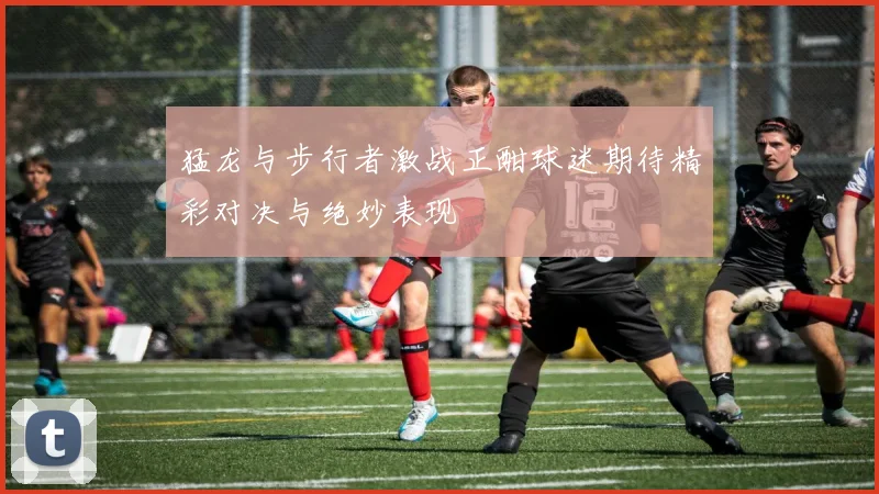 猛龙与步行者激战正酣球迷期待精彩对决与绝妙表现